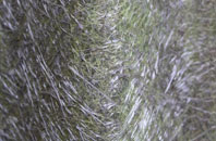 Flansham fibreglass roof work